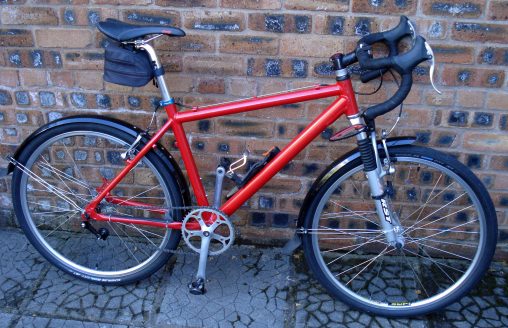 Michaels's Handsome Dog