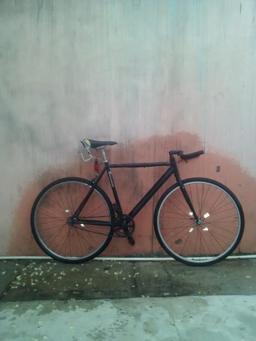 Felipe Treviño's Critycal Cycles